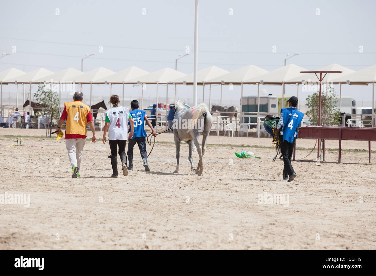 Reiter und Pfleger führen das Pferd mit Wasser gekühlt werden, bevor nach einer Etappe ein Langstreckenrennen Veterinär überprüft. CHI Al Shaqab 2014. Stockfoto