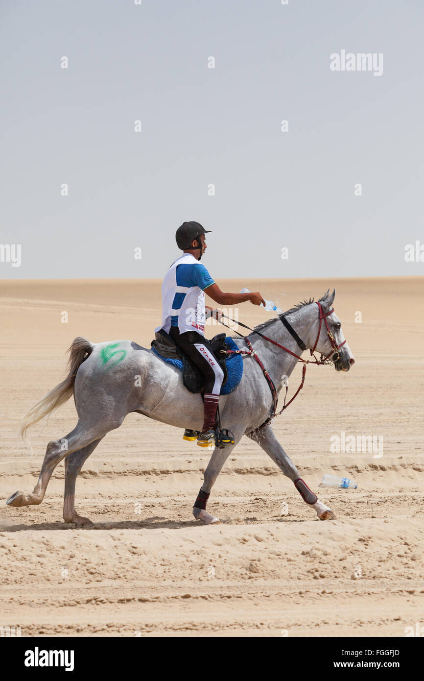 Pferd und Reiter in der extremen Hitze in der Wüste bei Langstreckenrennen für CHI Al Shaqab 2014.  Fahrer schüttet Wasser auf das Pferd. Wüste ist übersät mit Plastikflaschen. Stockfoto
