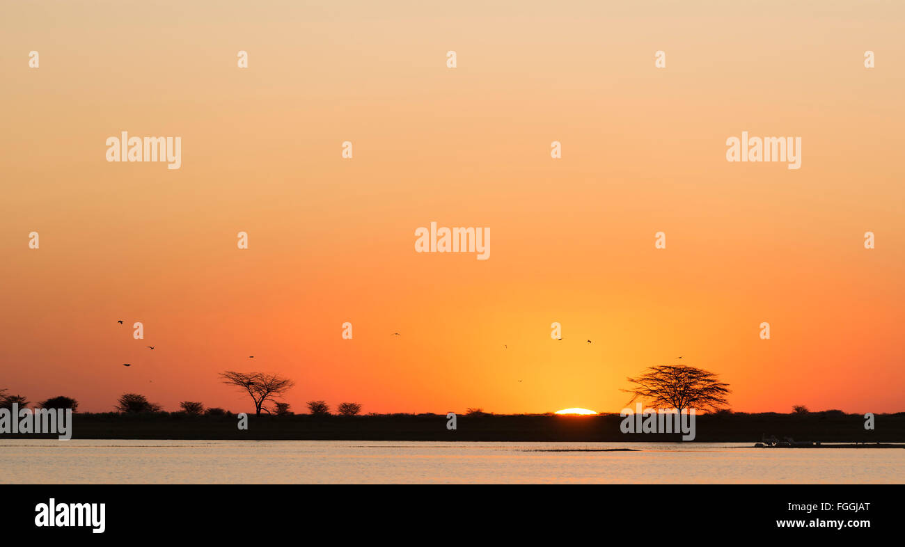 Klassischen afrikanischen Sonnenuntergang mit riesigen brennenden Sonne über Akazien und Wasser in Botswana, Afrika Stockfoto