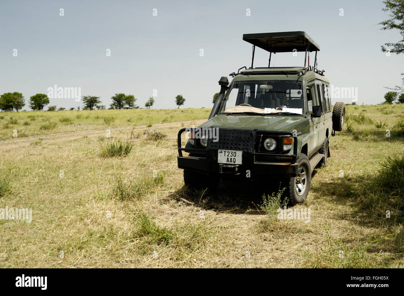 safari auto nederland