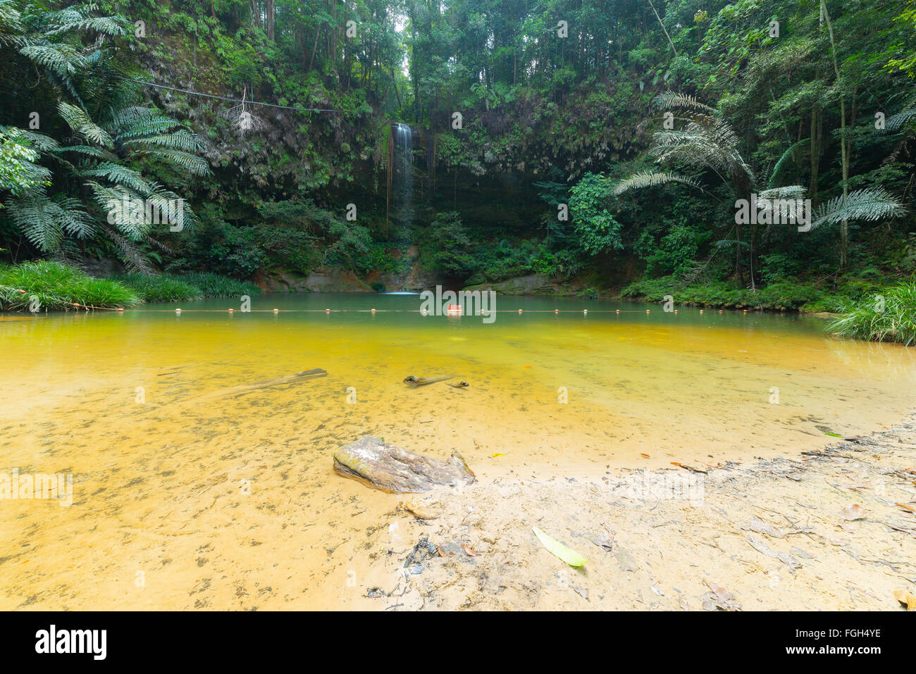 Verträumte bunte Naturpool versteckt in der dichten und Umid Regenwald des Lambir Hills National Park, Borneo, Malaysia. Concep Stockfoto