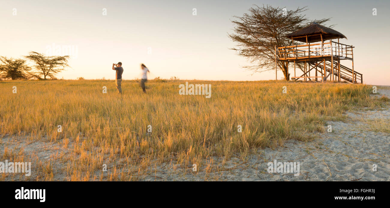 Ein junges Paar lange Gras stehen und Fotos von Sonnenuntergang Weile auf Safari in die Makgadikgadi Salzpfannen, Botswana, Afrika Stockfoto