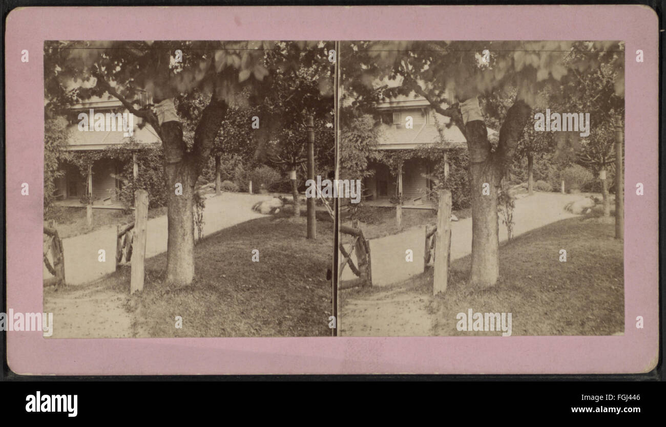 Dieses Foto aus der Robert N. Dennis-Sammlung zeigt einen Blick auf ein Haus im Llewellyn Park mit den Orange Mountains im Hintergrund. Stockfoto