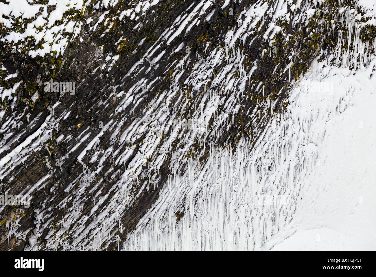 Eisige Klippe mit gefrorenen Felsen in der Nähe eines Wasserfalls in Oregon. Stockfoto