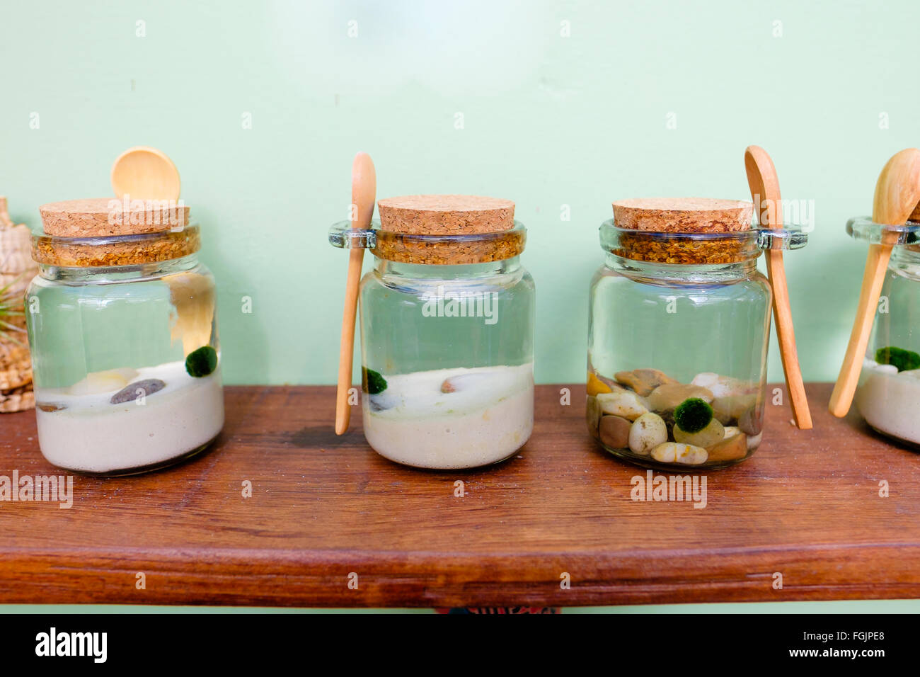 Pflanzen, die im Wasser in Gläser mit verschiedenen Looks. Stockfoto