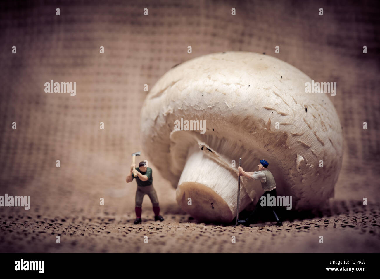 Miniatur-Arbeiter Abholzen von Gian Pilz. Food-Konzept. Farbton abgestimmt. Stockfoto