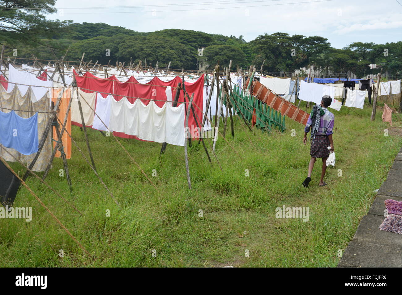 Kochi, Indien - öffnen 1. November 2015 - Luft Waschsalon Dhobi Ghat in Kochi, Süd-Indien Stockfoto