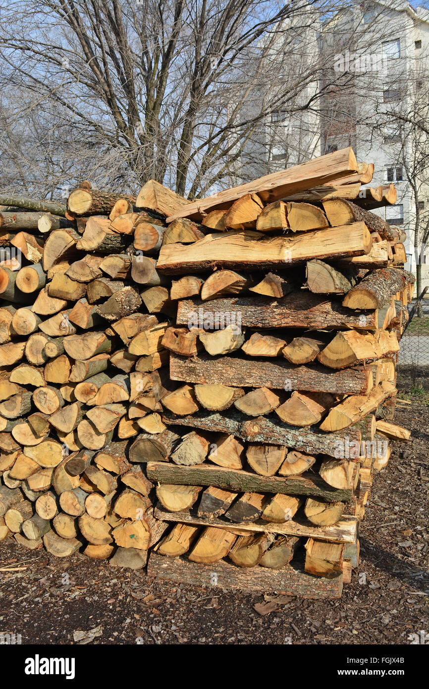 Holzschnitt auf dem Betriebshof des Protokolls und zum Verkauf bereit. Stockfoto