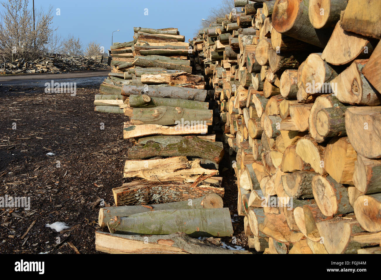 Holzschnitt auf dem Betriebshof des Protokolls und zum Verkauf bereit. Stockfoto
