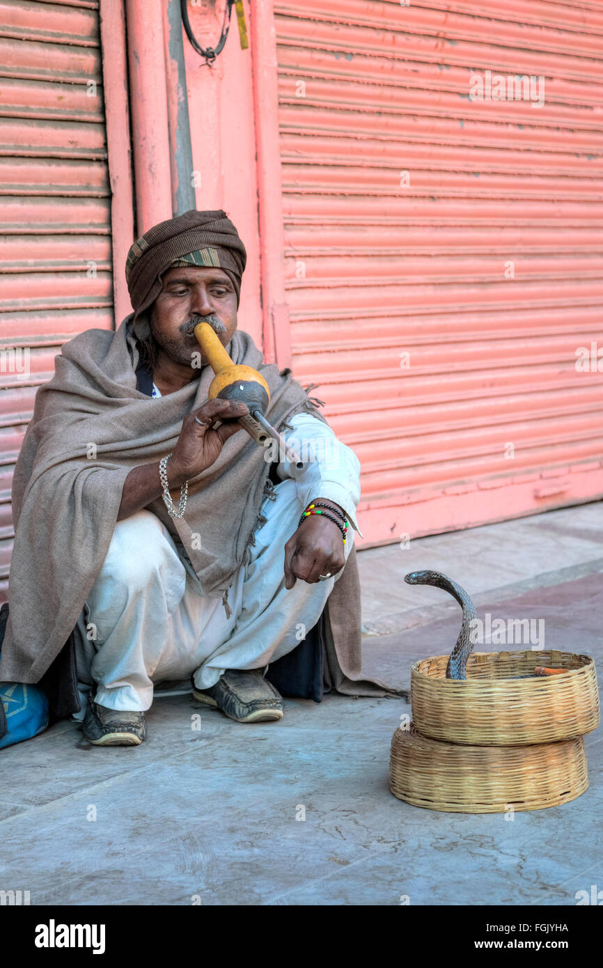 Snake Charmer, Jaipur, Rajasthan, Indien Stockfoto