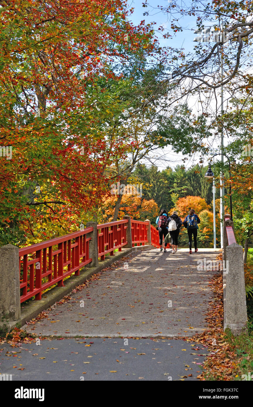 Rote Brücke am Smith College, Northampton, Massachusetts, USA Stockfoto