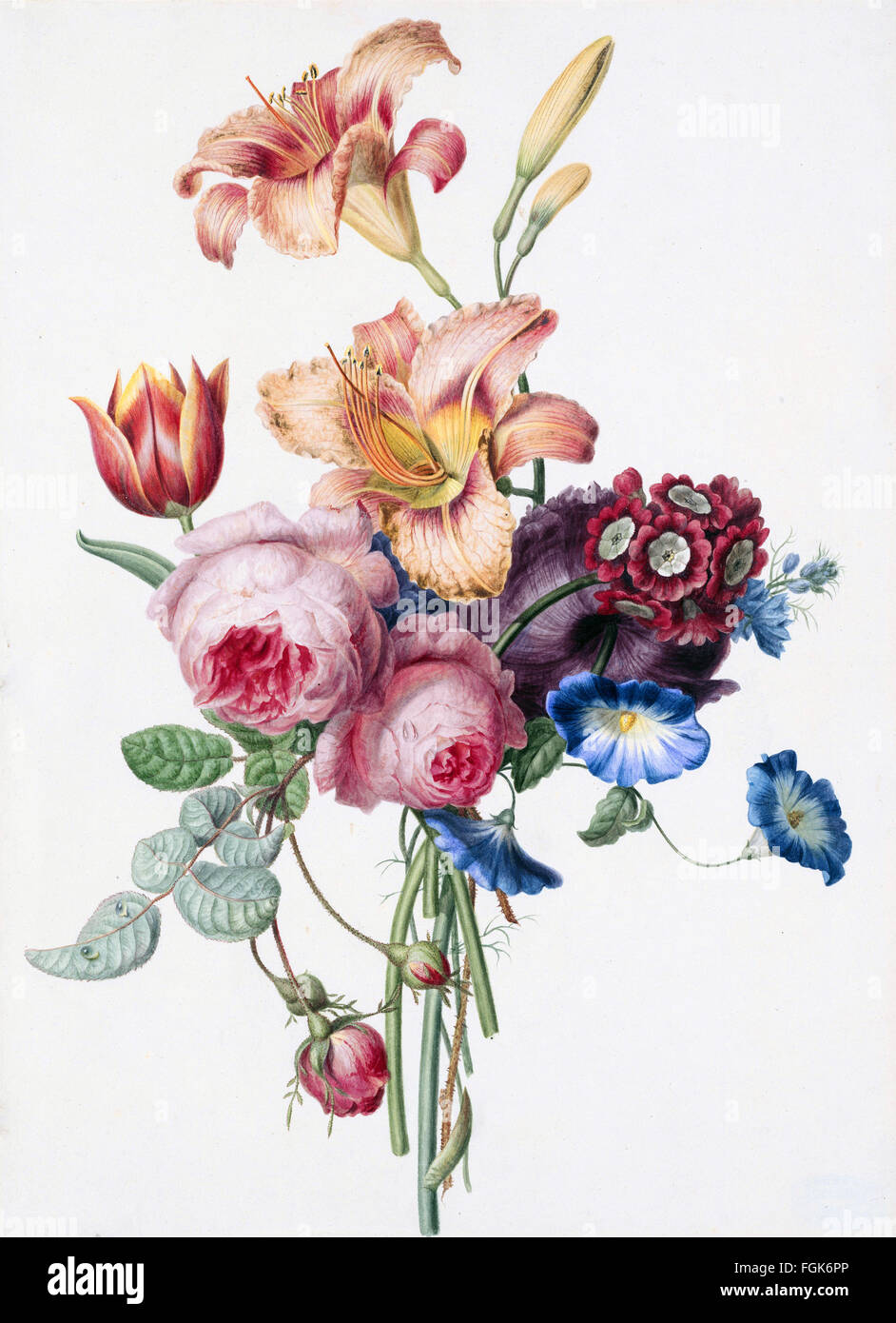 Strauß - durch Henri'tte Geertruida Knip, 1793-1842 Stockfoto