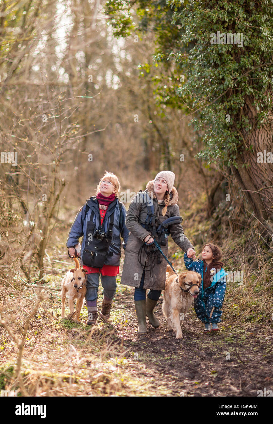 Ein Februar-Wald laufen seit drei Generationen der Familie. Stockfoto