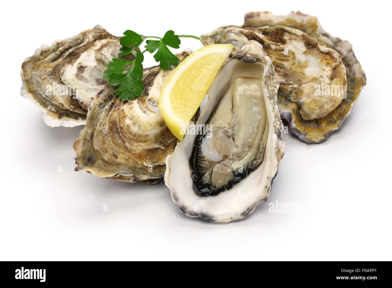frische Austern isoliert auf weißem Hintergrund Stockfoto