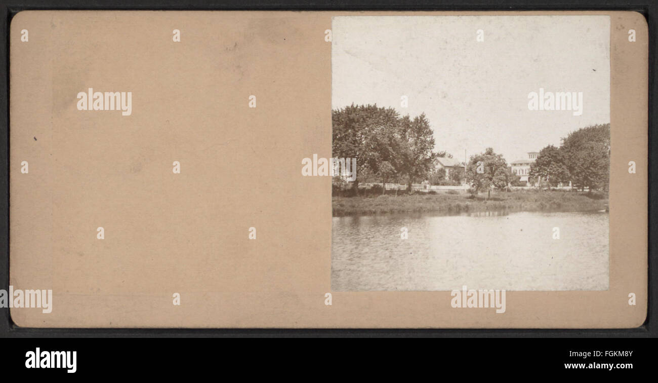 Ein Vintage-Foto mit dem Titel „Ansicht von Bäumen“ von S. DeMott, aufgenommen zwischen 1880 und 1899, das eine natürliche Landschaft mit Bäumen zeigt und die ruhige Schönheit der ländlichen Umgebung dieser Ära einfängt. Stockfoto