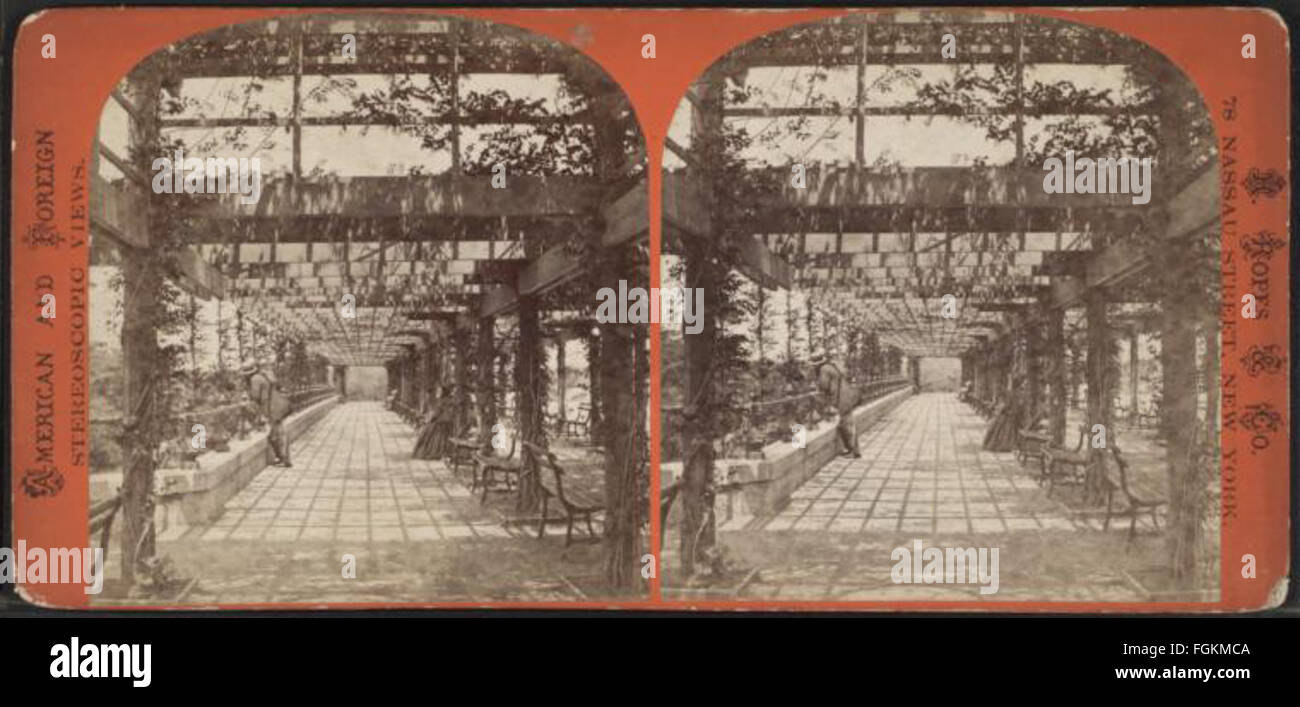 Rebe verkleideten Laube, Central Park, N.Y, aus Robert N. Dennis Sammlung von stereoskopischen Ansichten 3 Stockfoto