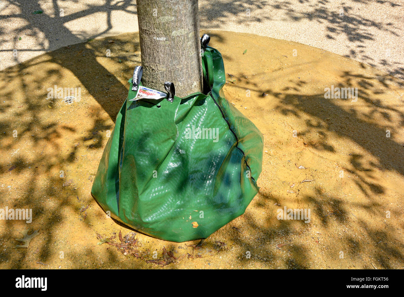 Treegator langsame Freisetzung Wasserbeutel platziert an der Unterseite des Rumpfes neue Anpflanzung von Bäumen in der Queen Elizabeth Olympic Park in heißen Sommer Wetter UK Stockfoto