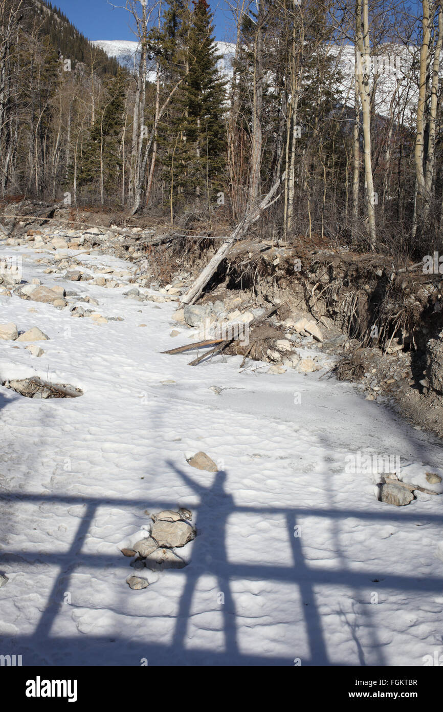 Schatten und Silhouetten am Minnewanka Lake Trail in Banff NP Stockfoto