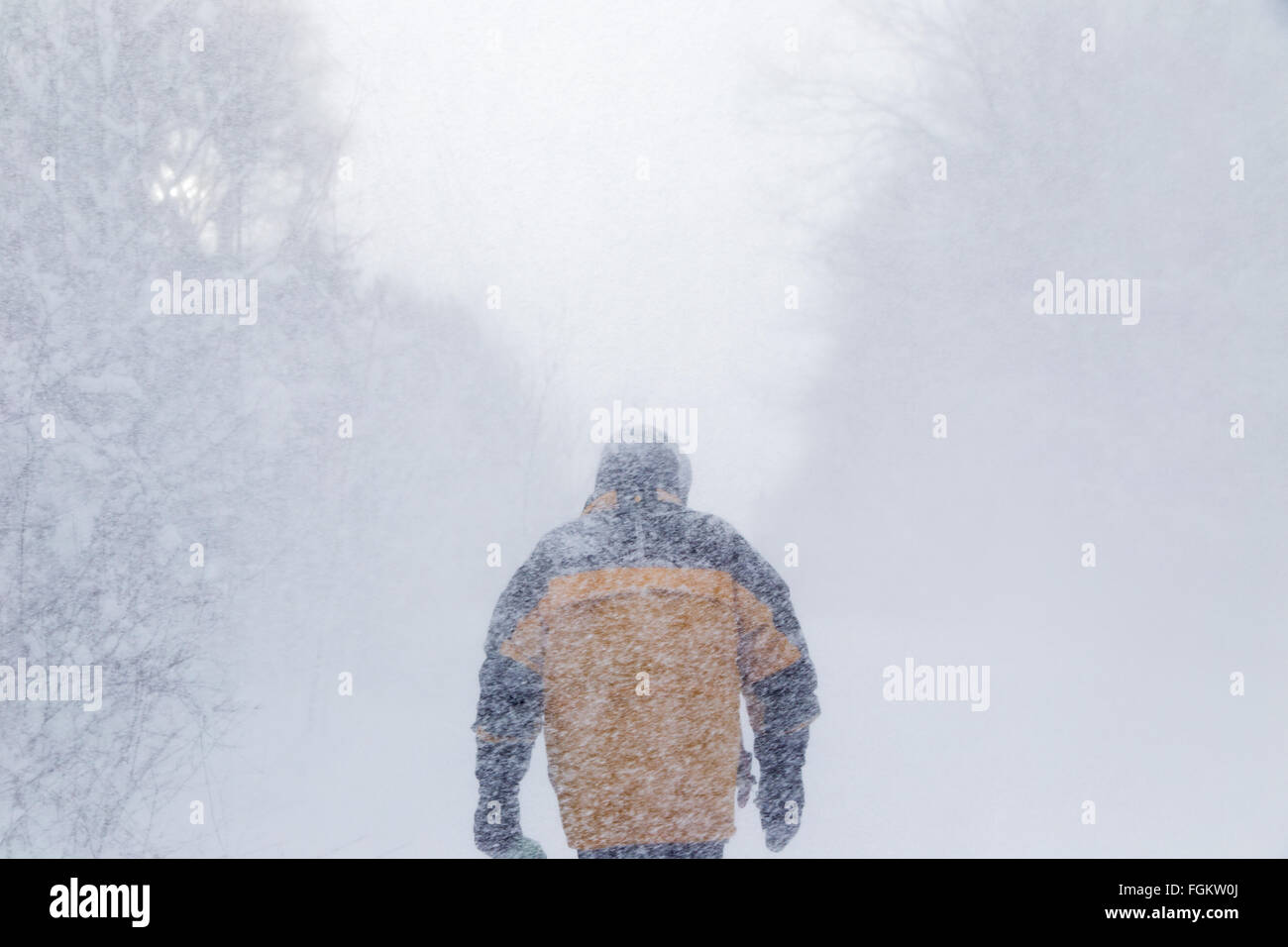 ein Mann mit dem Rücken zur Kamera, zu Fuß entfernt, durch einen ordentlichen Schneesturm Stockfoto