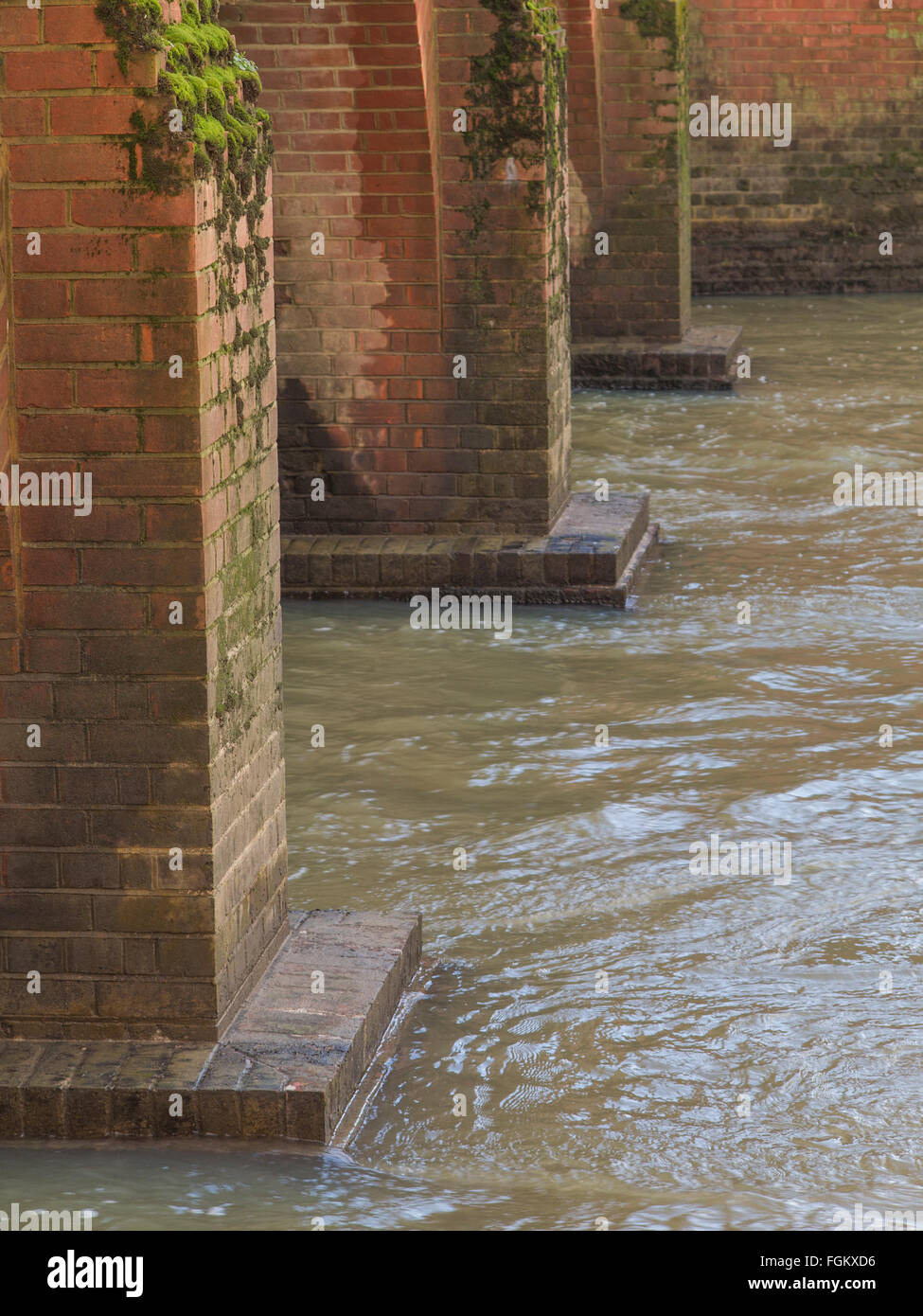 Ein überfluteten Fluss Maulwurf in Surrey im winter Stockfoto