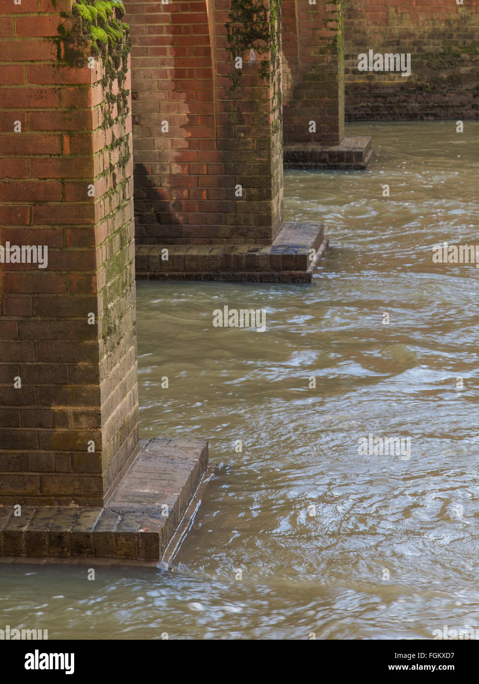 Ein überfluteten Fluss Maulwurf in Surrey im winter Stockfoto