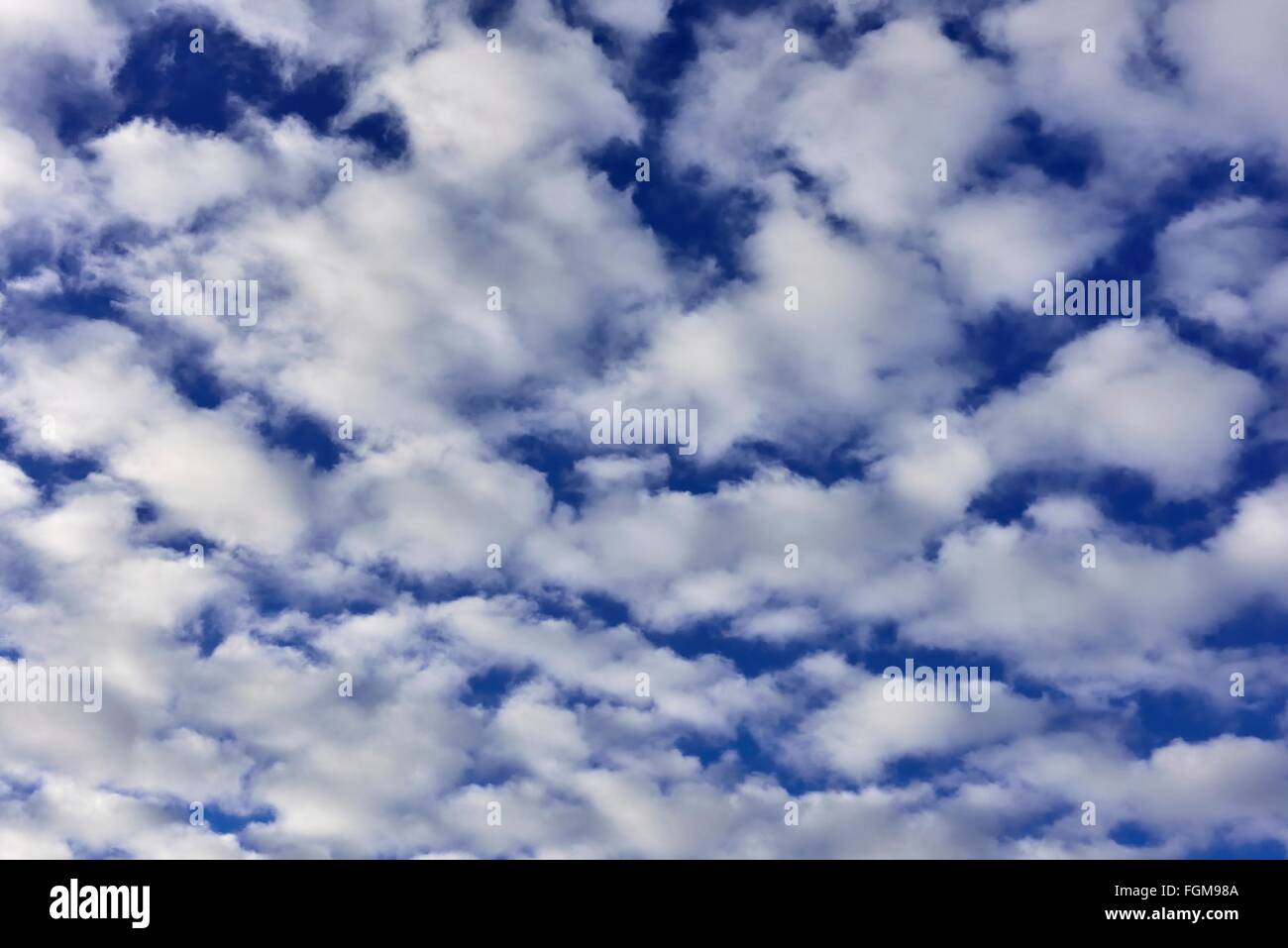 Cirrocumulus, Schäfchenwolken, Schlechtwetterfront, Bayerische Voralpen, Bayern, Deutschland Stockfoto