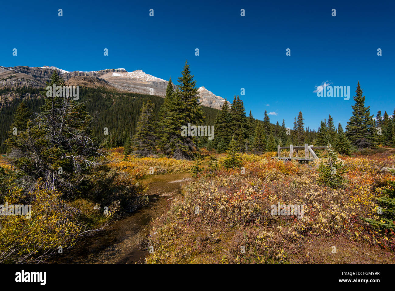 Trail auf Glazial-See Bow Lake, Banff Nationalpark, Kanadische Rockies, Provinz Alberta, Kanada Stockfoto