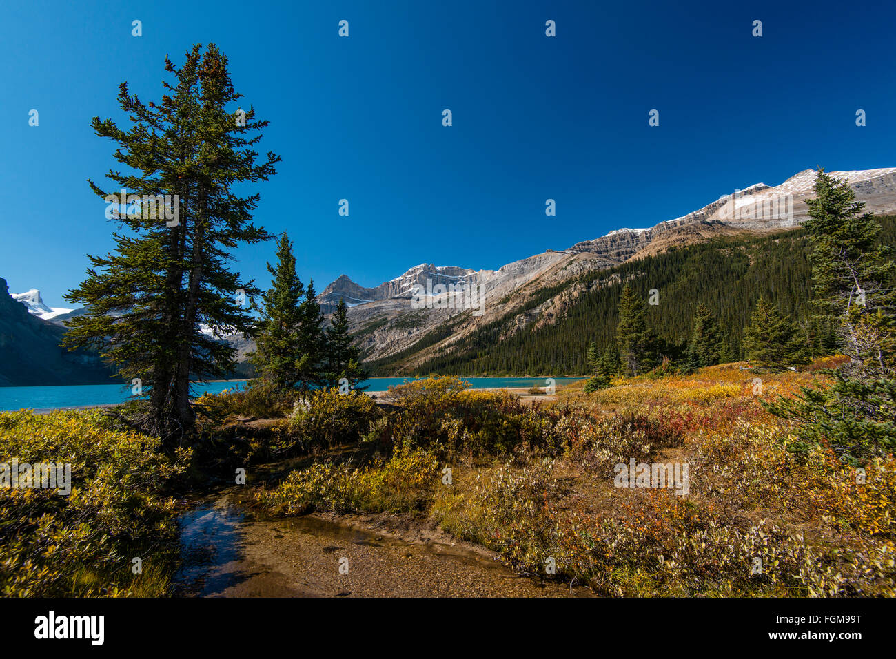 Trail auf Glazial-See Bow Lake, Banff Nationalpark, Kanadische Rockies, Provinz Alberta, Kanada Stockfoto