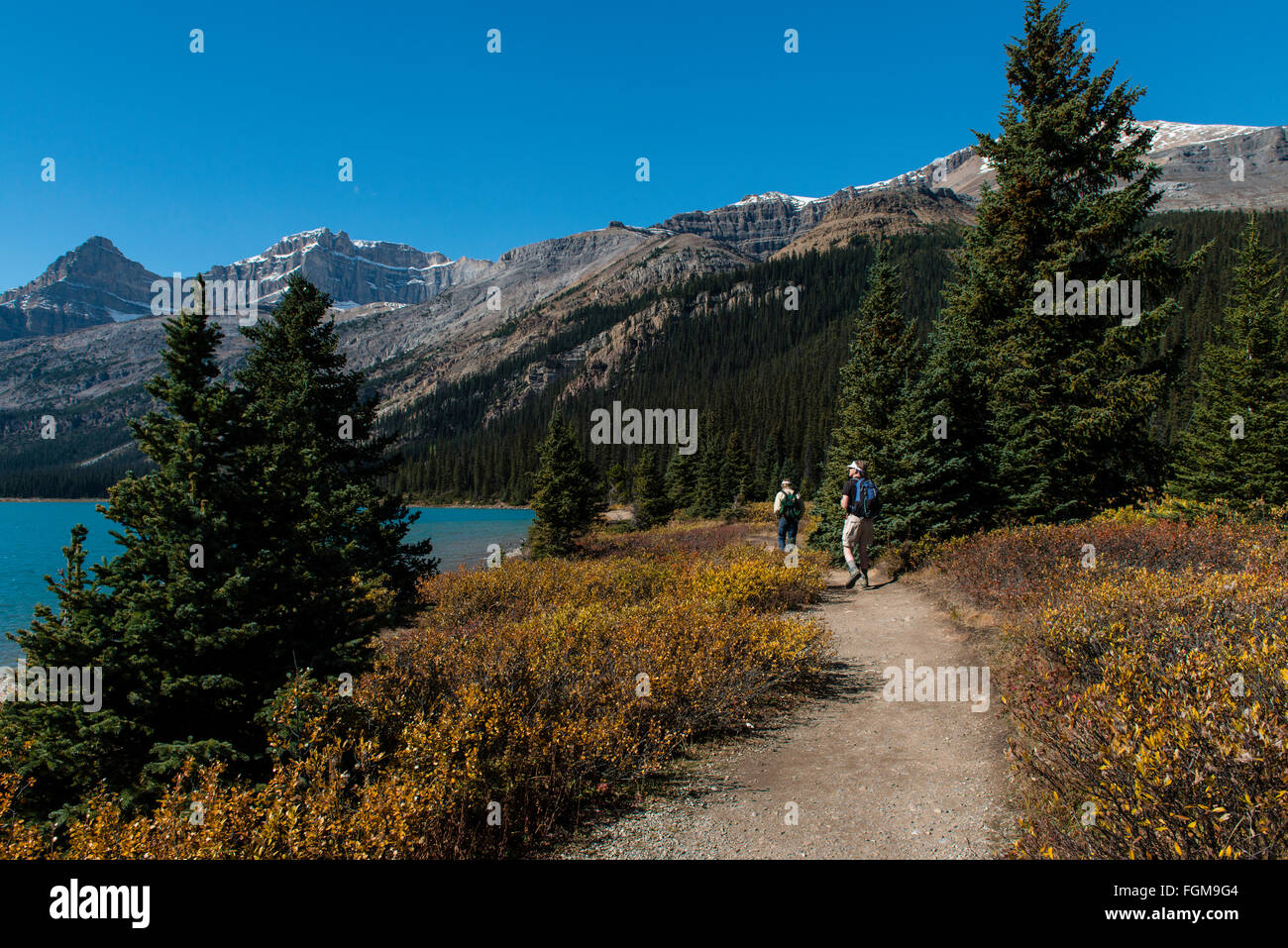 Trail auf Glazial-See Bow Lake, Banff Nationalpark, Kanadische Rockies, Provinz Alberta, Kanada Stockfoto