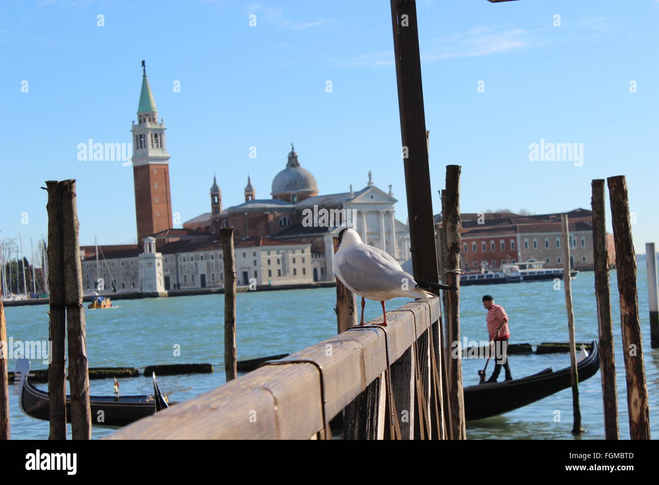Vogel und Gondel, San Marco, Venedig Stockfoto
