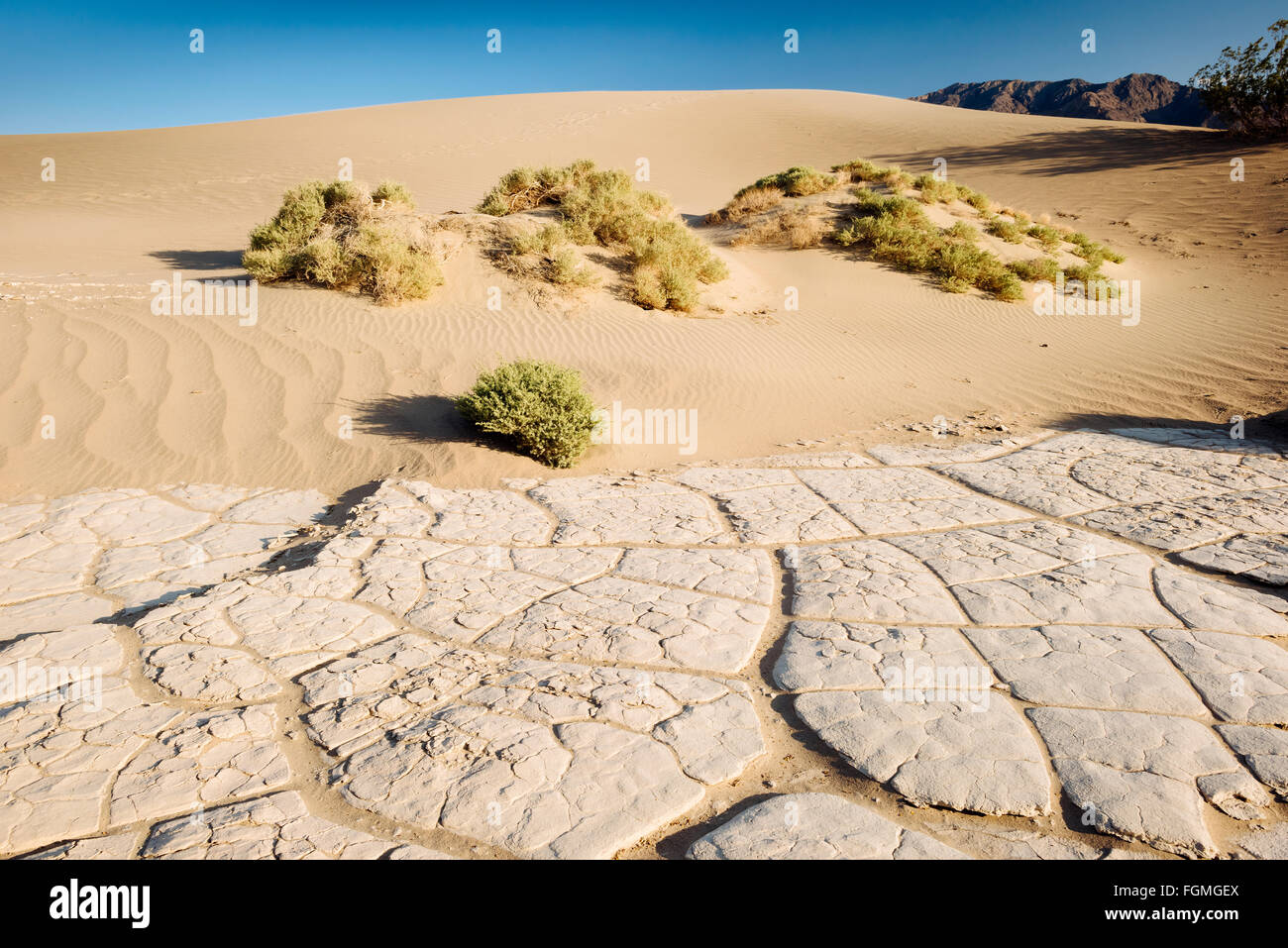 Mesquite flache Sanddünen im Death Valley Nationalpark, Kalifornien Stockfoto