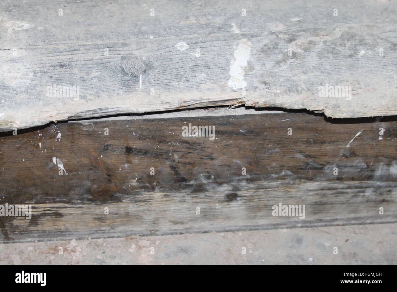 Stark abgenutzt Holztreppe Lauffläche Stockfoto