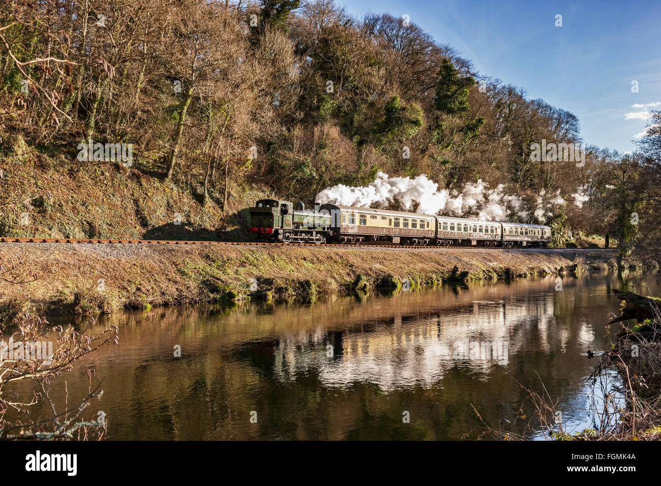 South Devon Dampfeisenbahn Stockfoto