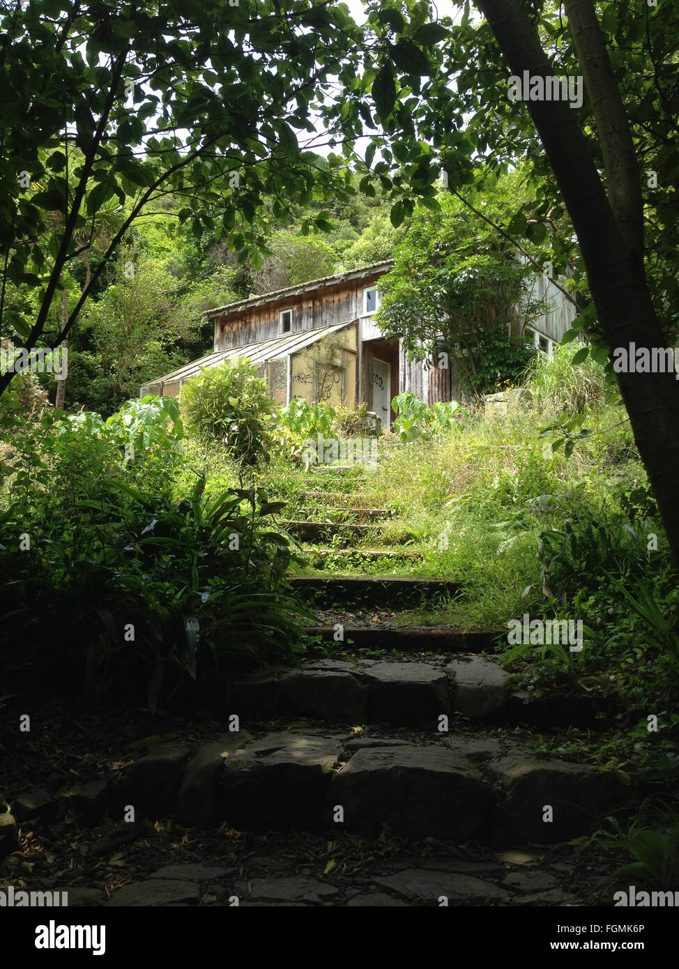 Altes Holzhaus, umgeben von Bäumen Stockfoto