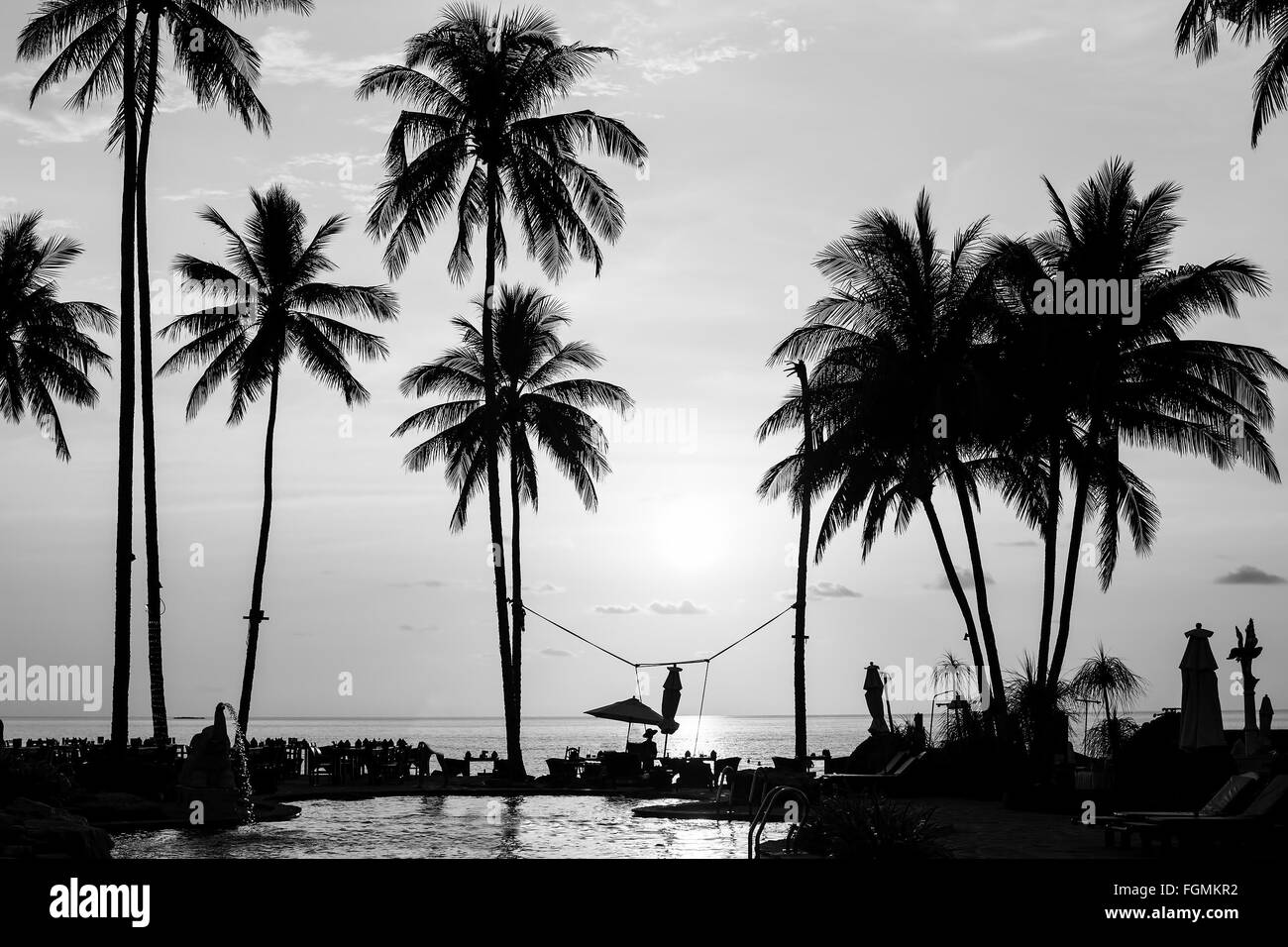 Silhouetten von Palmen an einem tropischen Strand, schwarz-weiß-Fotografie. Stockfoto