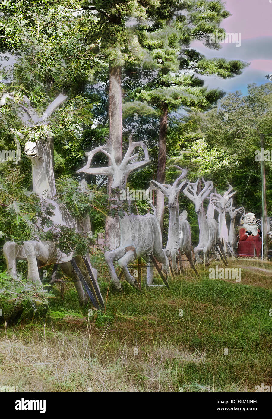 Zauberwald, Lake George, New York Stockfoto