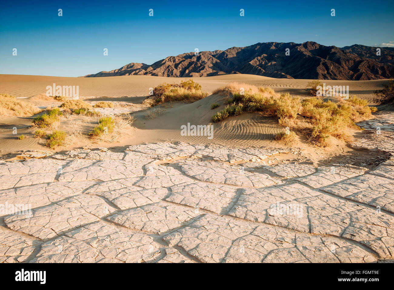 Mesquite flache Sanddünen im Death Valley Nationalpark, Kalifornien Stockfoto