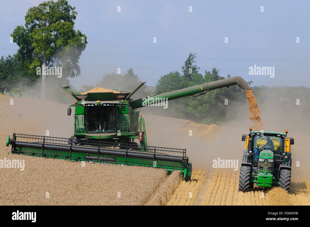 Ein Mähdrescher und Traktor, schneiden das Korn August Vereinigtes Königreich Stockfoto