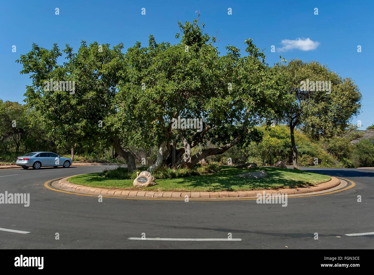 Straße von Sun City, Südafrika Stockfoto