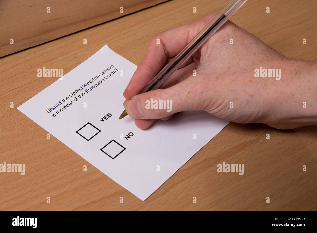 Eine anschauliche Ja/Nein Stimmzettel für die UK EU-Referendum. Stockfoto