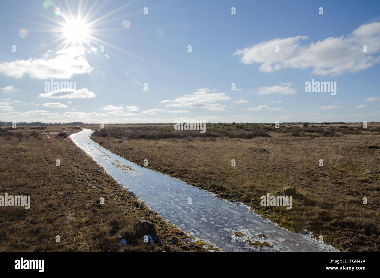Eis bedeckt Trail auf eine große Ebene Rasen-Land auf der Insel Öland in Schweden Stockfoto