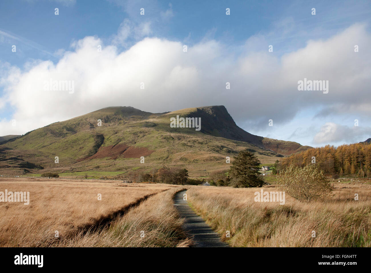 Y-Garn Nordende des The Nantlle Ridge aus dem Weg zu Beddgelert Rhyd Ddu Snowdonia Gwynedd North Wales Stockfoto