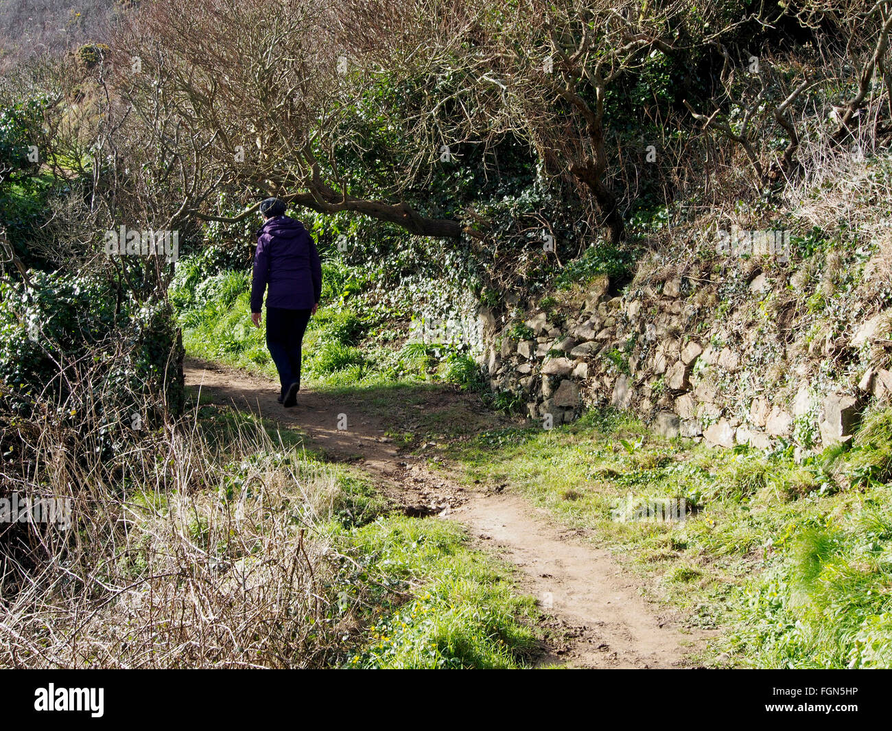 Walker auf dem Felsenweg oberhalb Le Jaonnet zwischen Icart Point und Le Petit Bot, Guernsey im zeitigen Frühjahr. Stockfoto