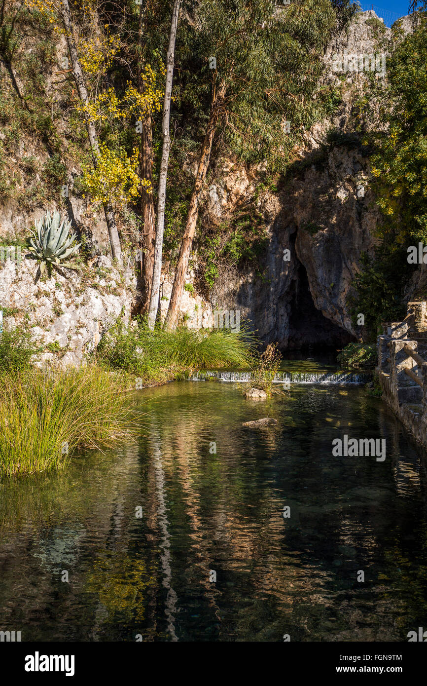 Naturdenkmal Quelle Genal Fluss Igualeja, Genal Tal Serrania de Ronda. Provinz Malaga, Andalusien Südspanien Stockfoto