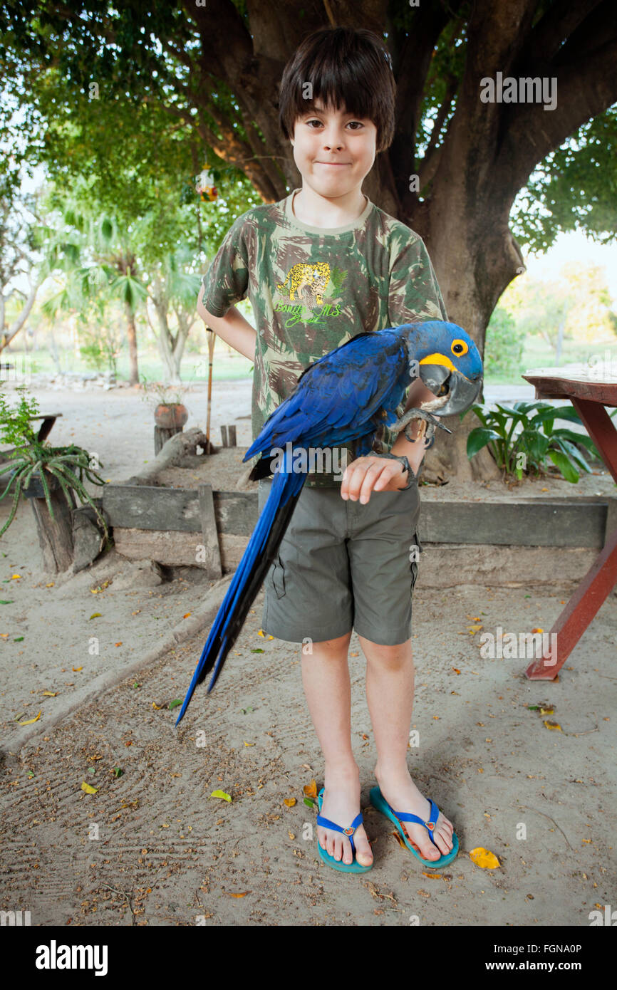 Ein kleiner Junge mit meterlangen Hyazinth-Ara Papagei im Pantanal, Brasilien Stockfoto
