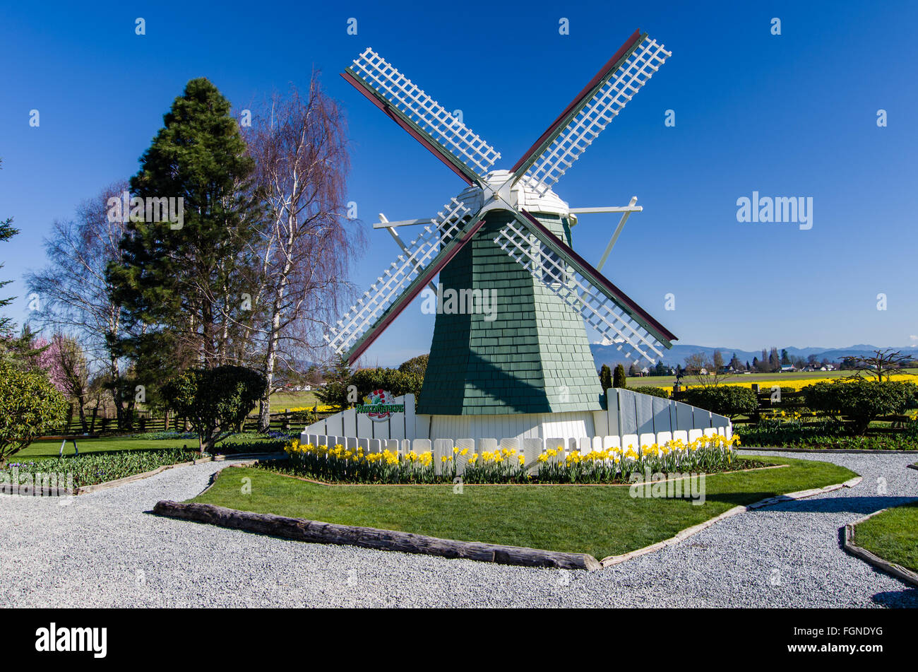 Windmühle auf eine Glühbirne Hof und Garten in der Skagit Valley, Washington Stockfoto