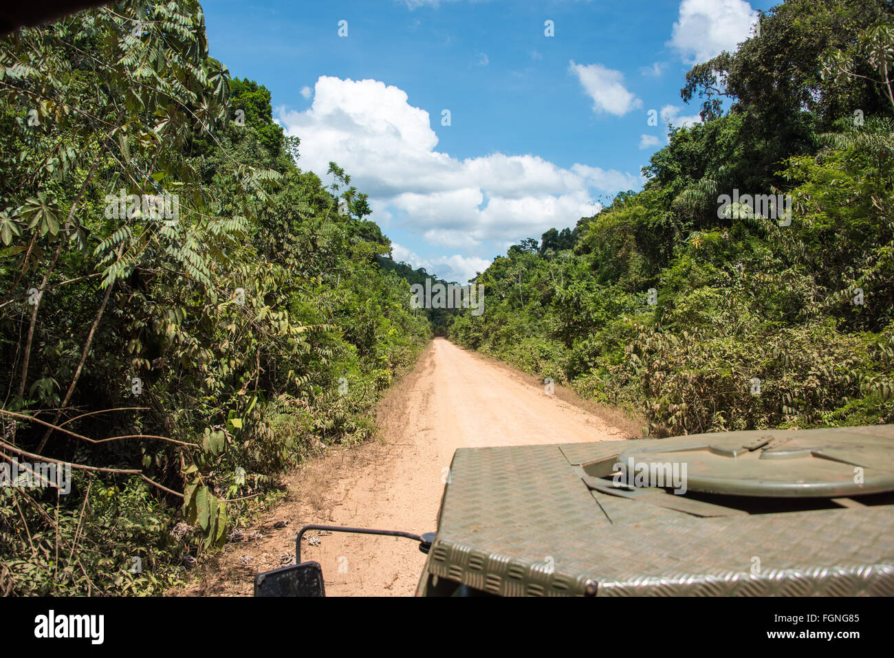 Holprige Straße durch den Dschungel, Guyana Stockfoto