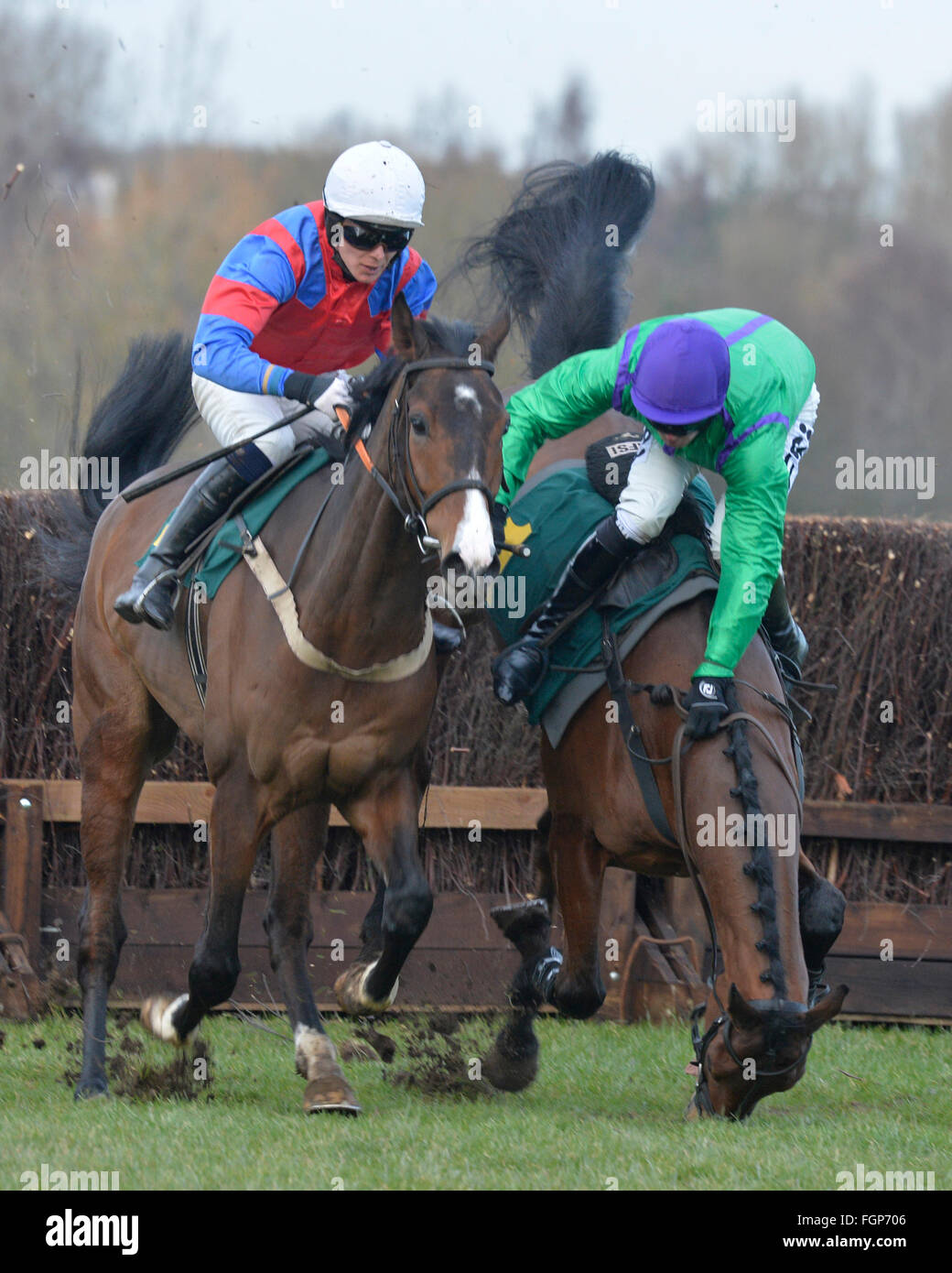 Fakenham National Hunt Race Meeting Norfolk 17.02.16 fällt Richard McLennon vom Rock N Rhythmus während einer Steeple Chase springt Rennen Stockfoto