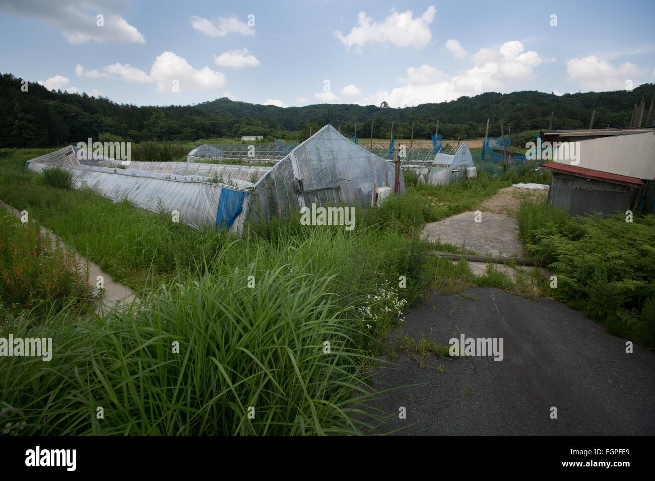 Verlassenes Dorf in Iitate Bezirk, Japan, 15. Juli 2015. Dekontamination Arbeiten der Strahlung durch die März 2011 Explosionen im Kernkraftwerk Fukushima Dai-Ichi zu verbreiten. Stockfoto