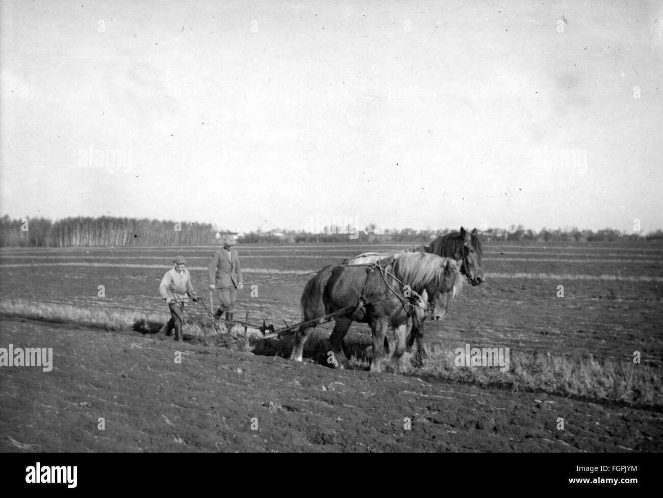Landwirtschaft, landwirtschaftliche Arbeit, Ernte, Kombinieren von Pferden gezogen, Südeuropa, 1930er Jahre, zusätzliche-Rechte-Clearences-nicht vorhanden Stockfoto